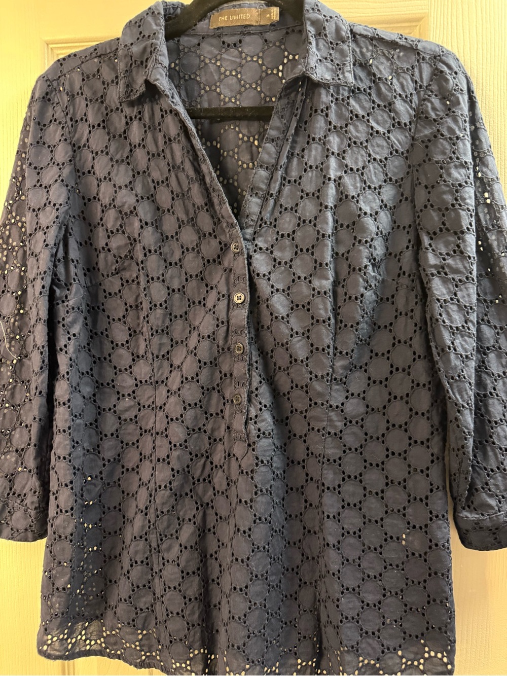 The Limited Blue Eyelet Button-Down Shirt